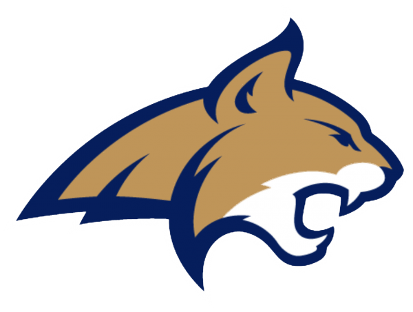 MSU Women's Hockey